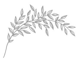 Иллюстрация к книге — Порочная красота [i_010.jpg]