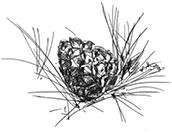 Иллюстрация к книге — Призрачный поцелуй [i_022.jpg]