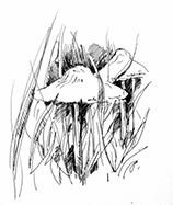 Иллюстрация к книге — Призрачный поцелуй [i_023.jpg]