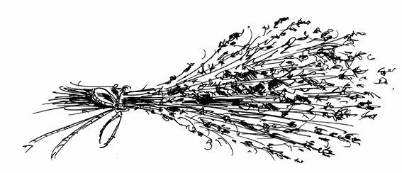 Иллюстрация к книге — Призрачный поцелуй [i_055.jpg]