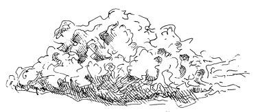 Иллюстрация к книге — Призрачный поцелуй [i_093.jpg]