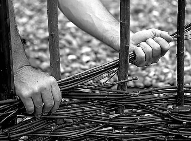 Иллюстрация к книге — Лорд Системы 1 [6010173f-ff2a-4676-8188-ab678c1a05b8.jpg]