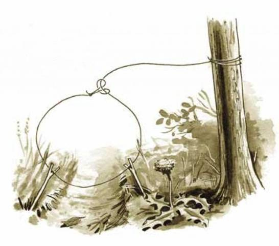 Иллюстрация к книге — Лорд Системы 1 [be255621-5abe-495a-b0e6-c97eccb3d189.jpg]