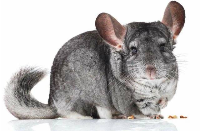 Иллюстрация к книге — Лорд Системы 1 [f441e378-c1d1-4c74-b64e-fc1cea1f9c8c.jpg]