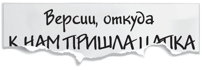 Иллюстрация к книге — Плюшевая голова [i_004.jpg]