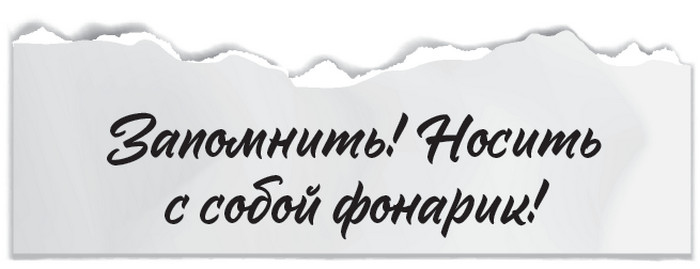 Иллюстрация к книге — Плюшевая голова [i_011.jpg]