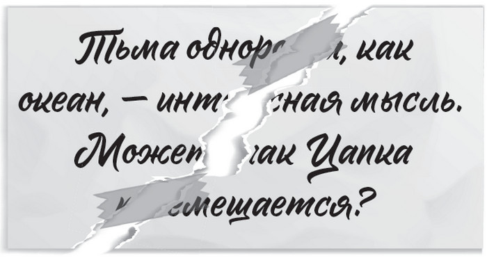 Иллюстрация к книге — Плюшевая голова [i_012.jpg]