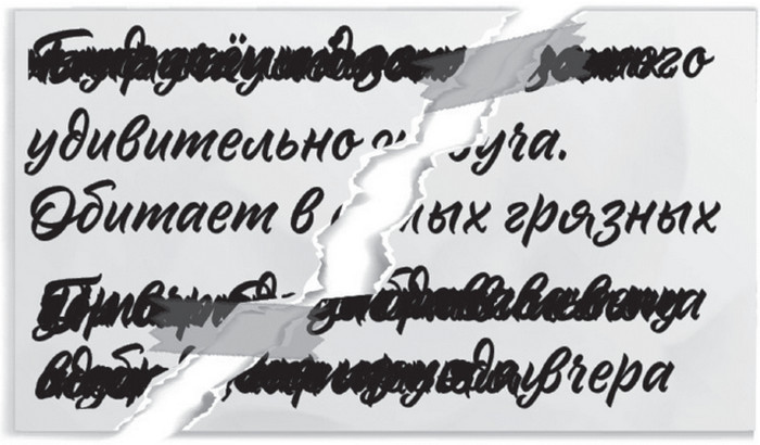 Иллюстрация к книге — Плюшевая голова [i_032.jpg]