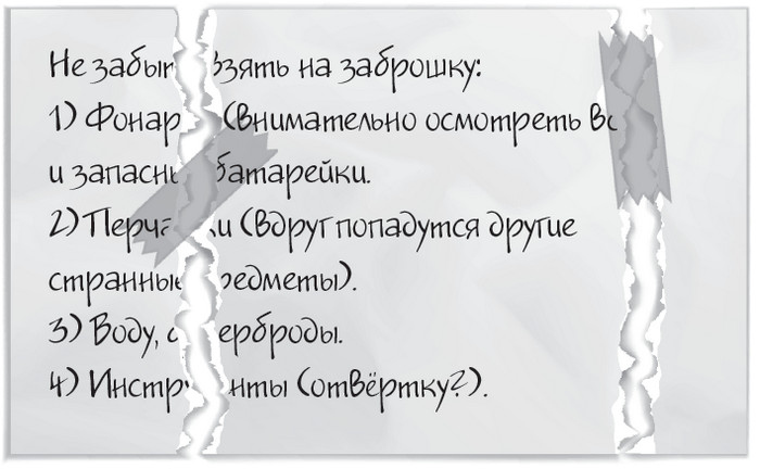 Иллюстрация к книге — Плюшевая голова [i_066.jpg]