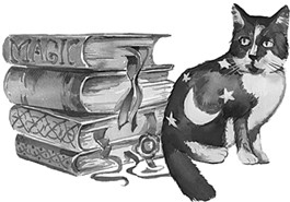 Иллюстрация к книге — Волшебство из чайной лавки [i_015.jpg]