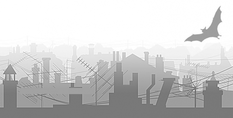 Иллюстрация к книге — Драконье лето [i_002.jpg]