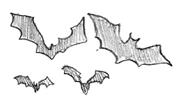 Иллюстрация к книге — Самая необычная дружба [i_003.jpg]