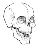 Иллюстрация к книге — Самая необычная дружба [i_007.jpg]