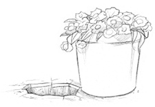 Иллюстрация к книге — Самая необычная дружба [i_009.jpg]