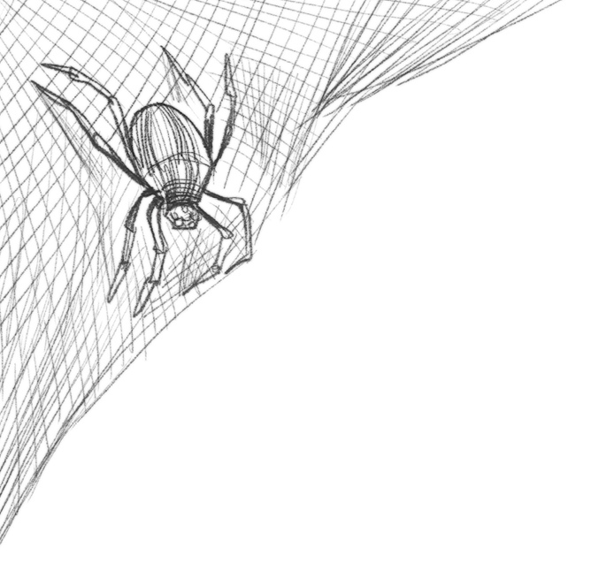 Иллюстрация к книге — Самая необычная дружба [i_012.jpg]