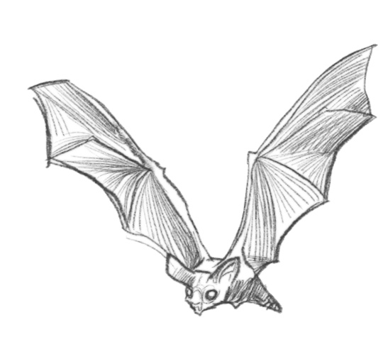 Иллюстрация к книге — Самая необычная дружба [i_013.jpg]