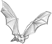 Иллюстрация к книге — Самая необычная дружба [i_015.jpg]