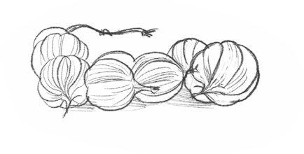 Иллюстрация к книге — Самая необычная дружба [i_025.jpg]