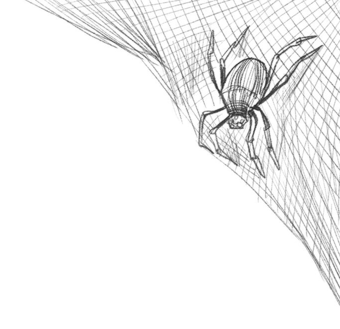 Иллюстрация к книге — Самая необычная дружба [i_031.jpg]