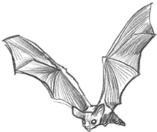 Иллюстрация к книге — Самая необычная дружба [i_035.jpg]