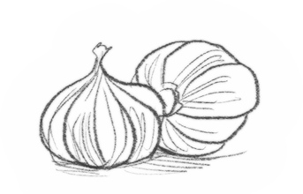 Иллюстрация к книге — Самая необычная дружба [i_038.jpg]