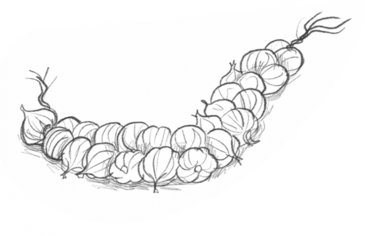 Иллюстрация к книге — Самая необычная дружба [i_044.jpg]