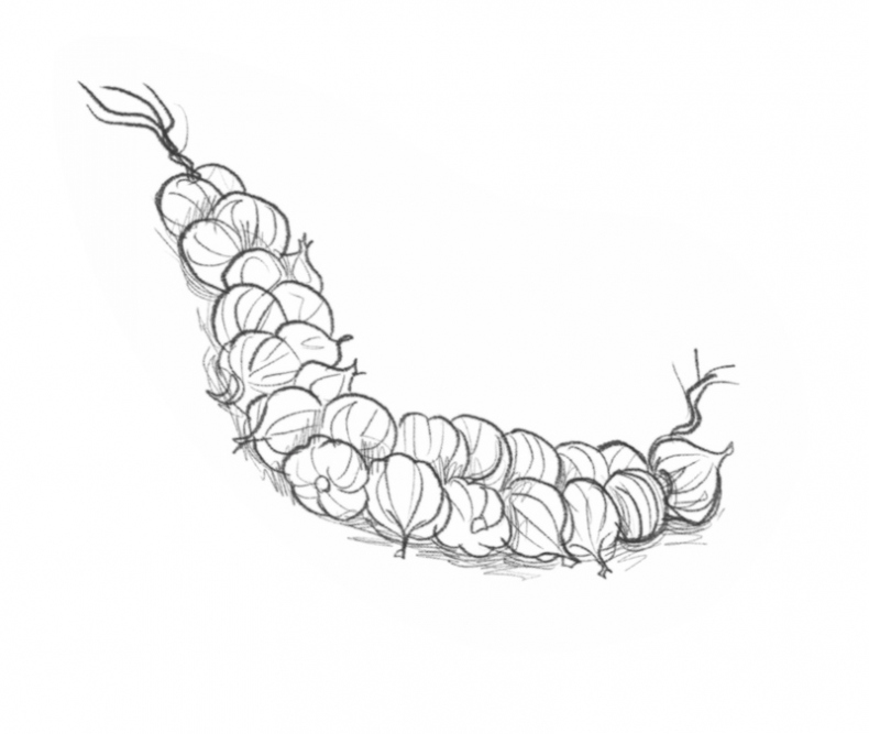 Иллюстрация к книге — Самая необычная дружба [i_050.jpg]