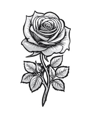 Иллюстрация к книге — Время шипов [i_005.jpg]