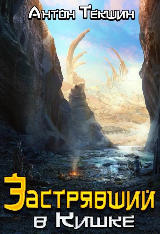 Книга Застрявший в Кишке