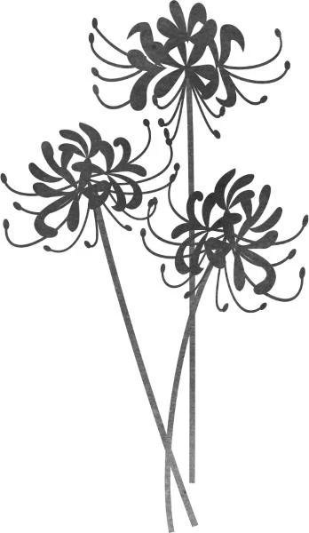 Иллюстрация к книге — Выжившая из Ходо, файл i_001