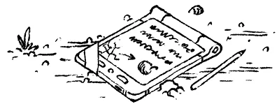 Иллюстрация к книге — Загадка планеты Терра [i_010.webp]