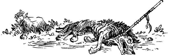 Иллюстрация к книге — Загадка планеты Терра [i_012.webp]