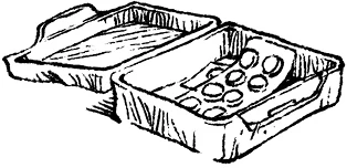 Иллюстрация к книге — Загадка планеты Терра [i_013.webp]