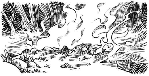 Иллюстрация к книге — Загадка планеты Терра [i_017.webp]