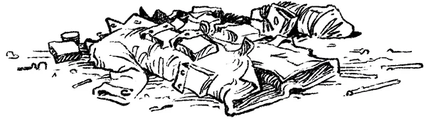 Иллюстрация к книге — Загадка планеты Терра [i_023.webp]