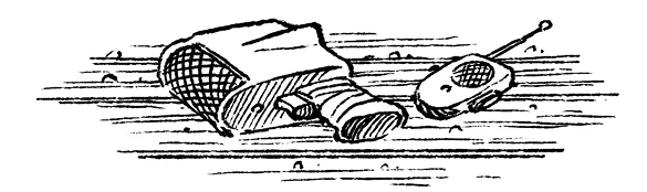 Иллюстрация к книге — Загадка планеты Терра [i_025.webp]