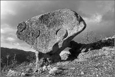 Иллюстрация к книге — Италия: жизнь в замке в XXI веке [_71.webp]