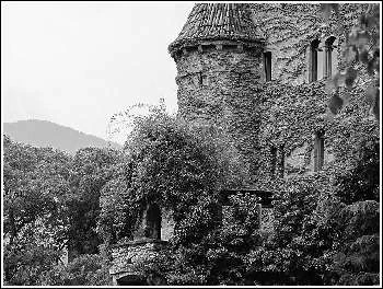 Иллюстрация к книге — Италия: жизнь в замке в XXI веке [_86.webp]