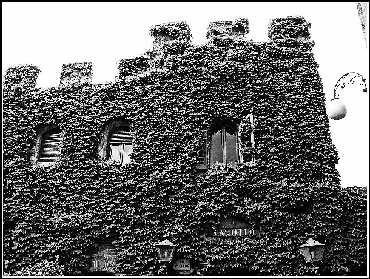 Иллюстрация к книге — Италия: жизнь в замке в XXI веке [_92.webp]