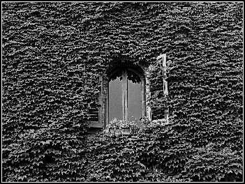 Иллюстрация к книге — Италия: жизнь в замке в XXI веке [_95.webp]