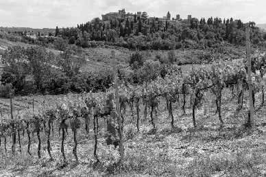 Иллюстрация к книге — Италия: жизнь в замке в XXI веке [_98.webp]