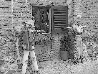 Иллюстрация к книге — Не оставляй в живых колдуньи [_14.webp]