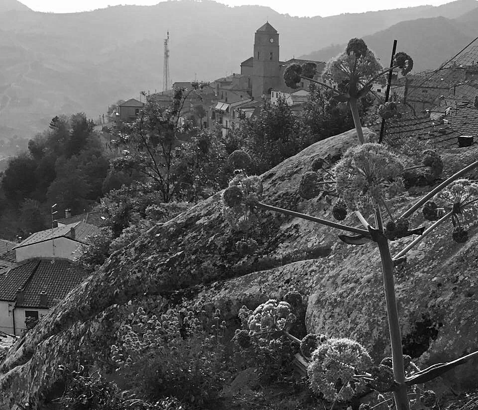 Иллюстрация к книге — Испеки мне убийство [_11.webp]