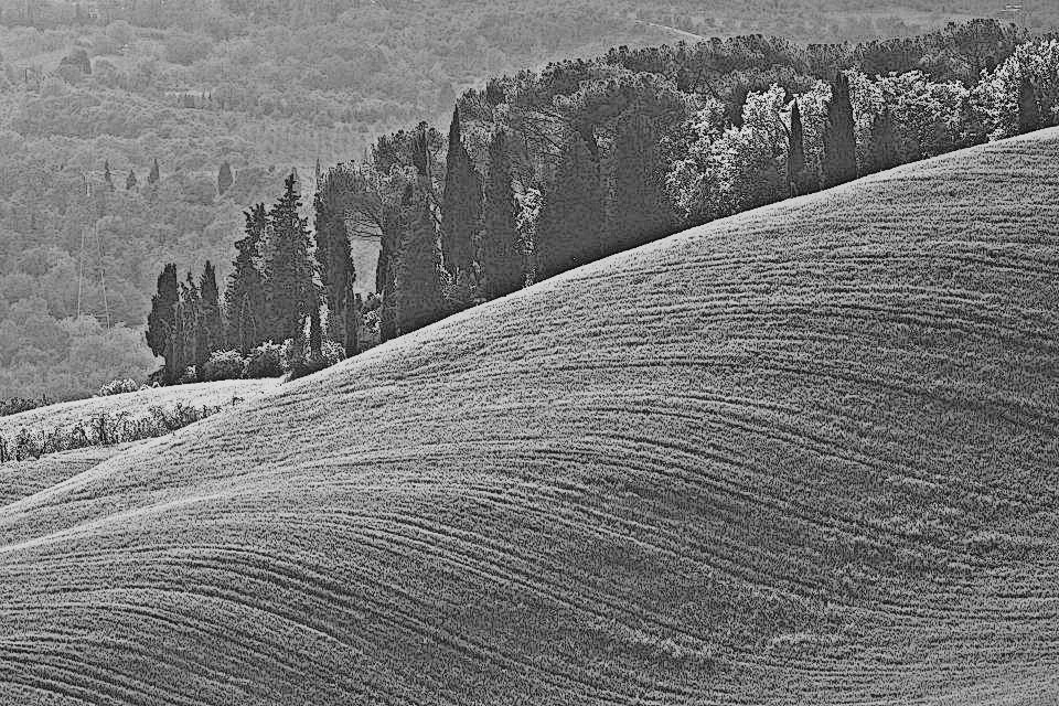 Иллюстрация к книге — Убийство под солнцем Тосканы [_10.webp]