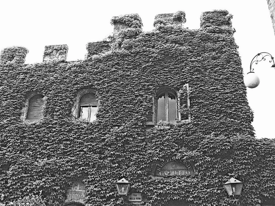 Иллюстрация к книге — Убийство под солнцем Тосканы [_2.webp]