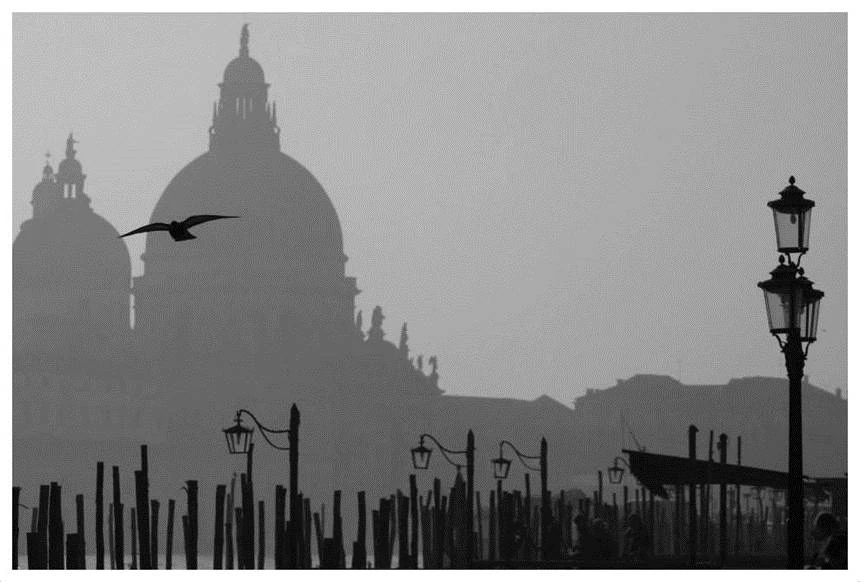 Иллюстрация к книге — Темные воды Венеции [_3.webp]