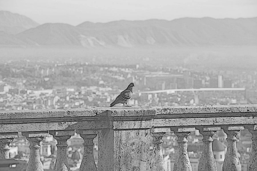 Иллюстрация к книге — Каморра [_15.webp]