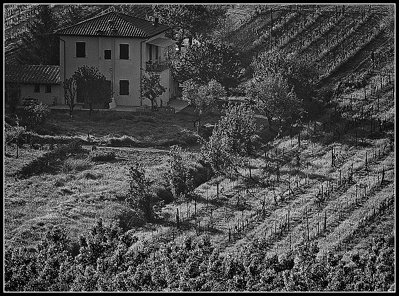 Иллюстрация к книге — Шепот холмов Тосканы [_6.webp]