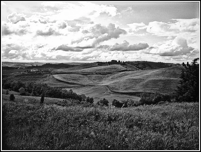 Иллюстрация к книге — Шепот холмов Тосканы [_9.webp]