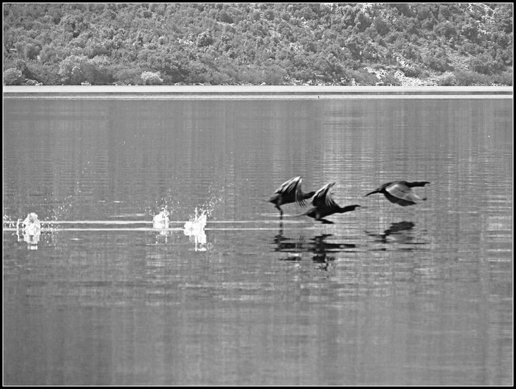 Иллюстрация к книге — Придет серенький волчок [_13.webp]